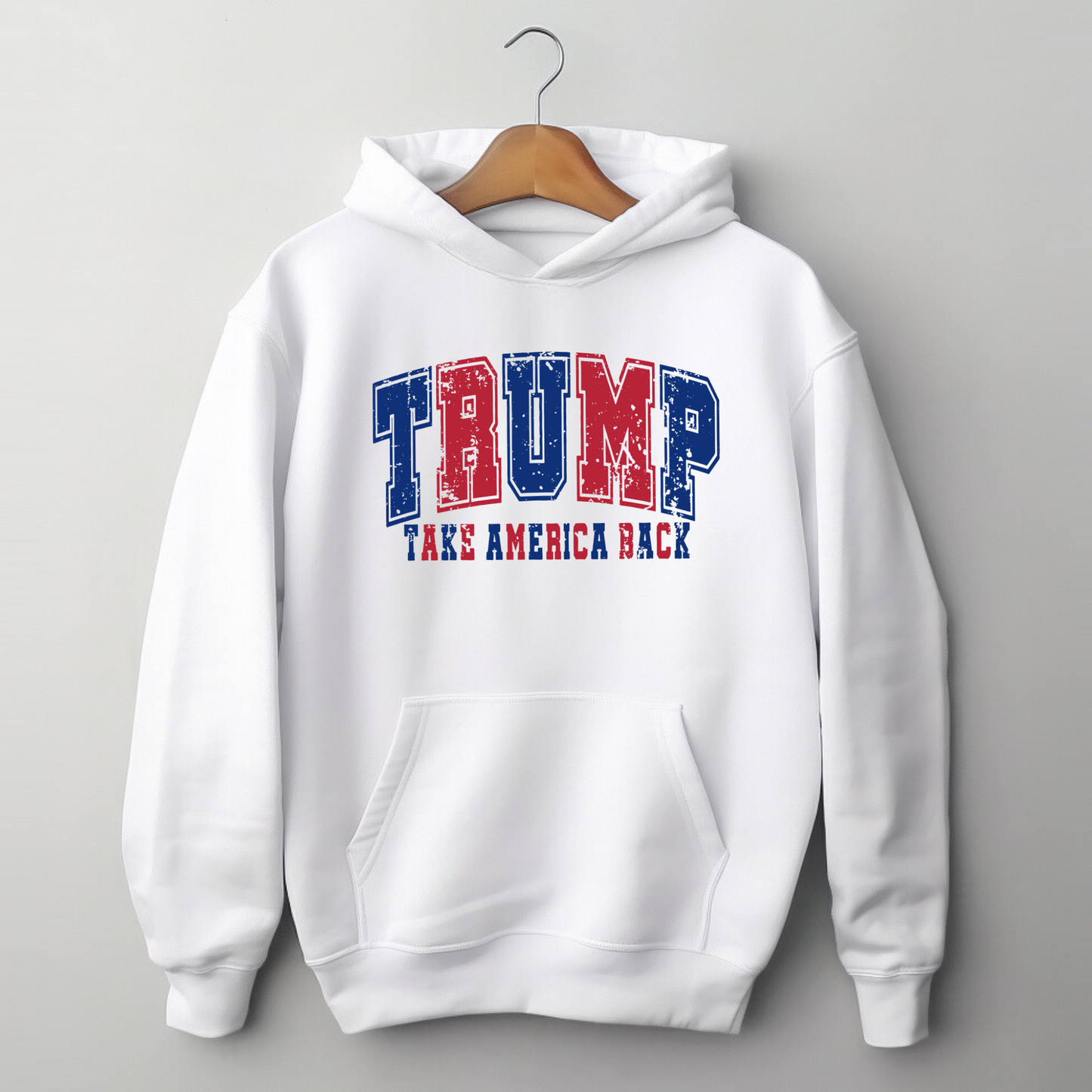 TAKE AMERICA BACK HOODIE