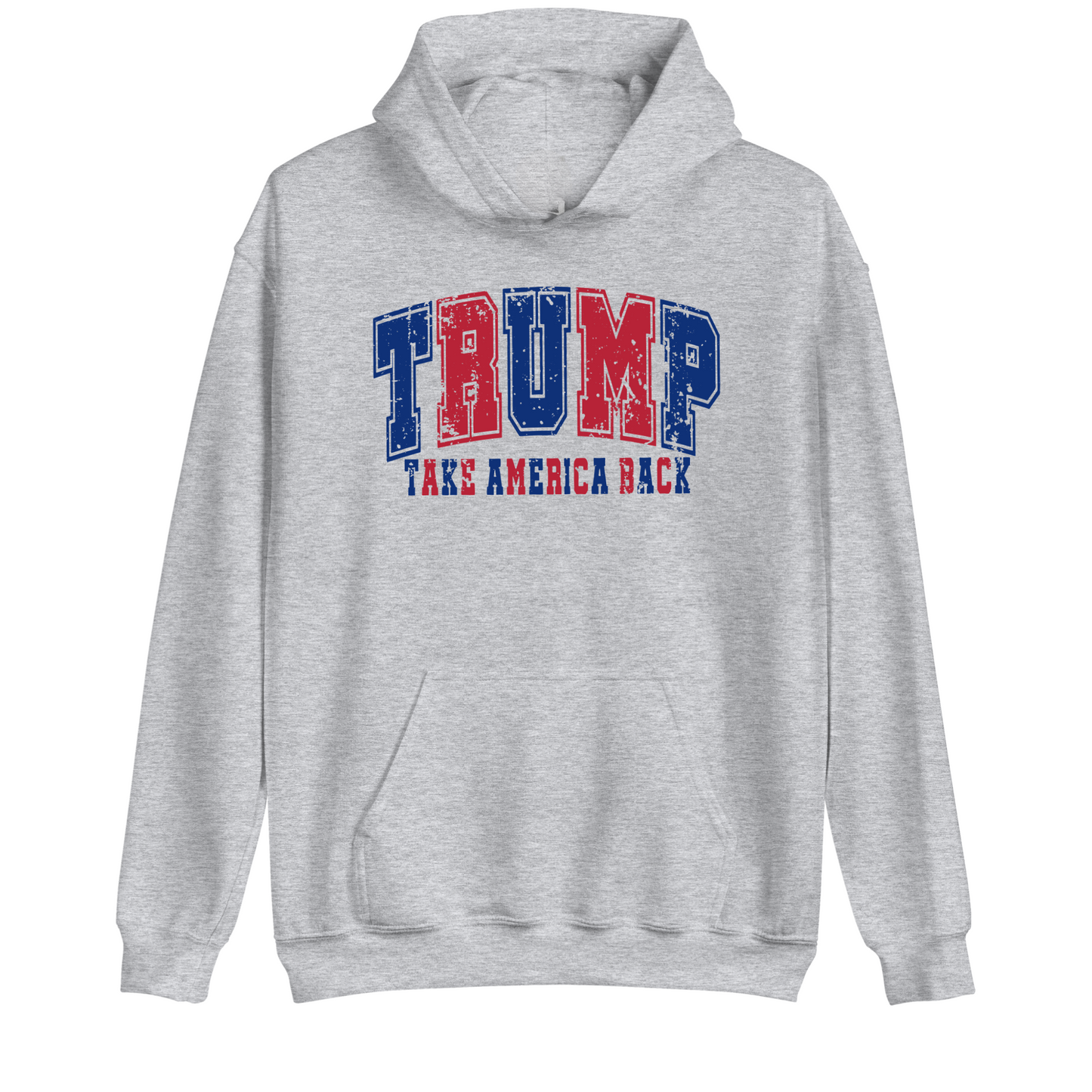 TAKE AMERICA BACK HOODIE