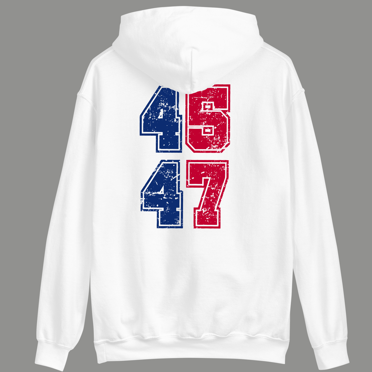 TAKE AMERICA BACK HOODIE