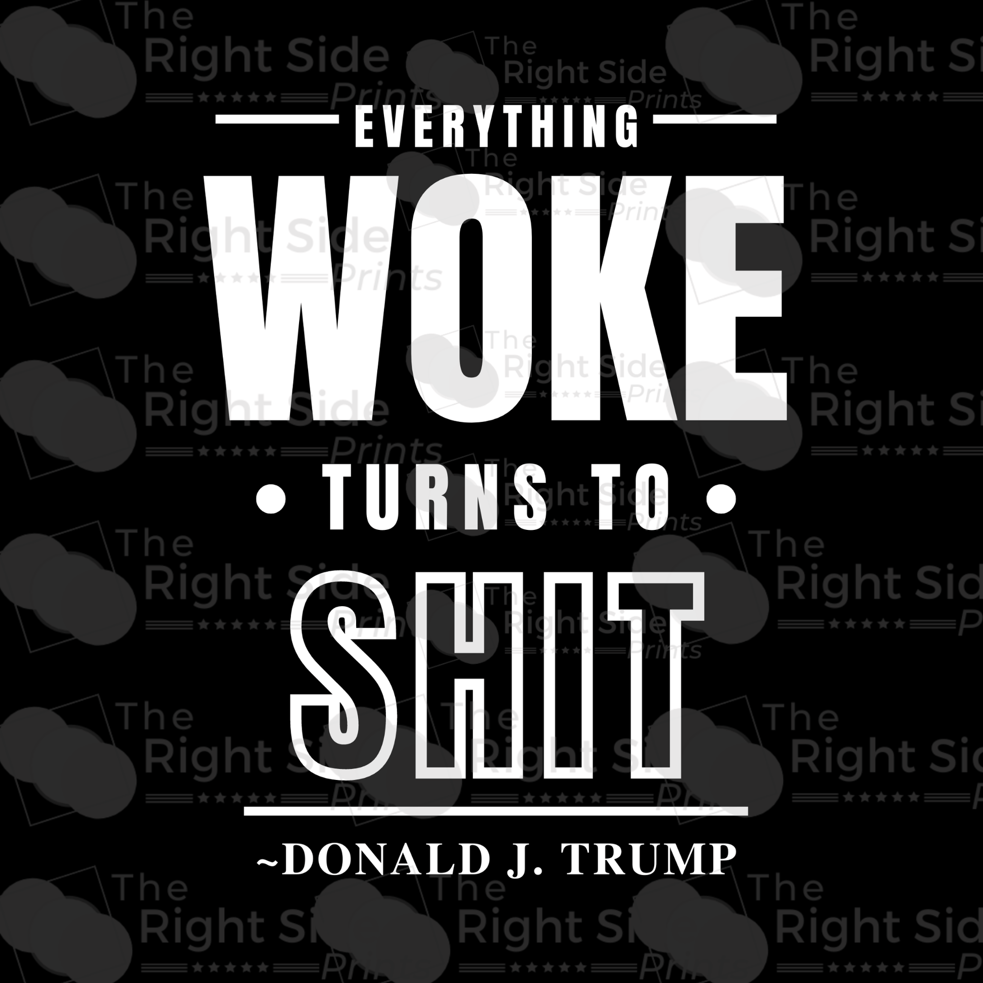 Everything Woke Turns To Shit Decal - The Right Side PrintsEverything Woke Turns To Shit DecalAccessories9" x 4.5"