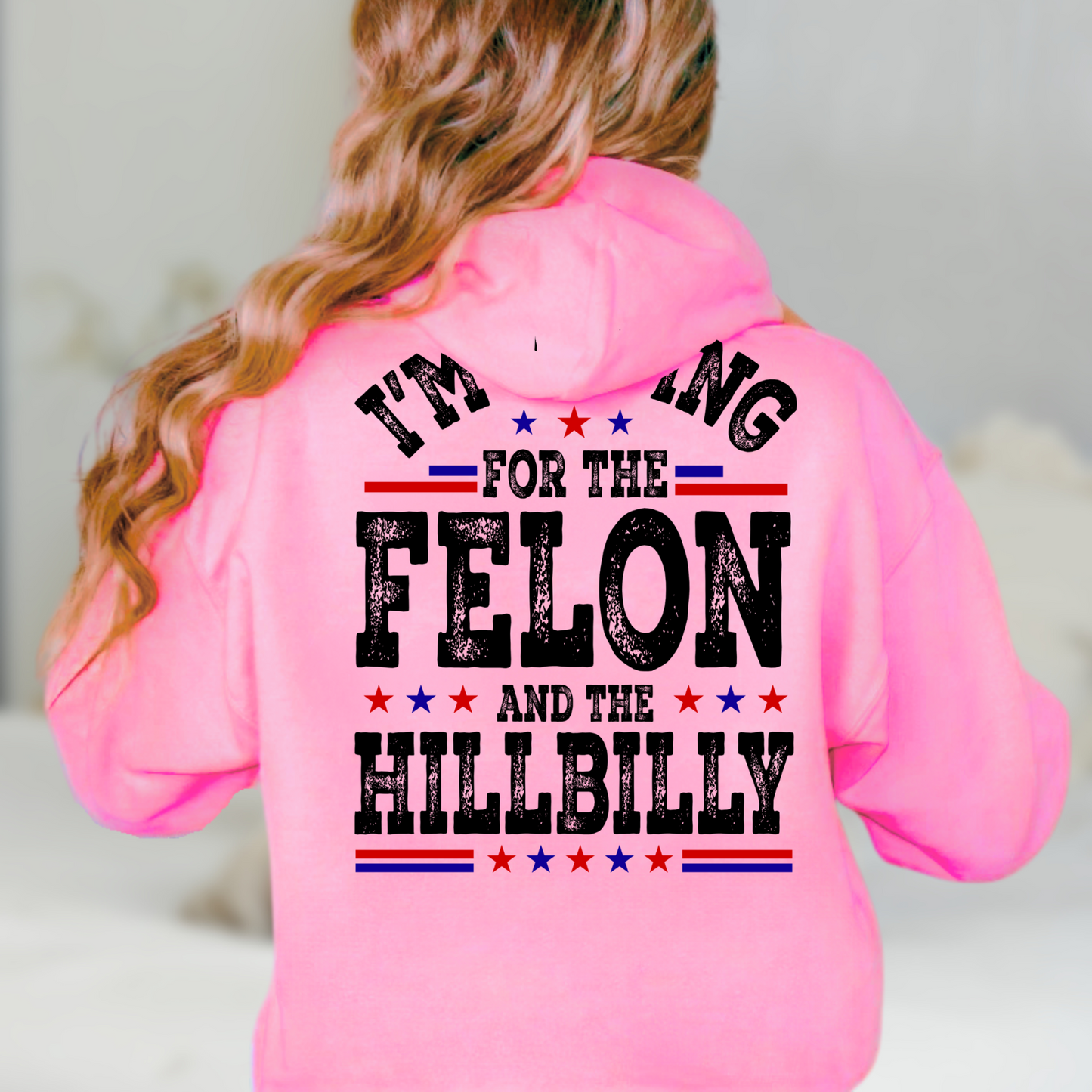 I'm voting for the felon and the hillbilly hoodie