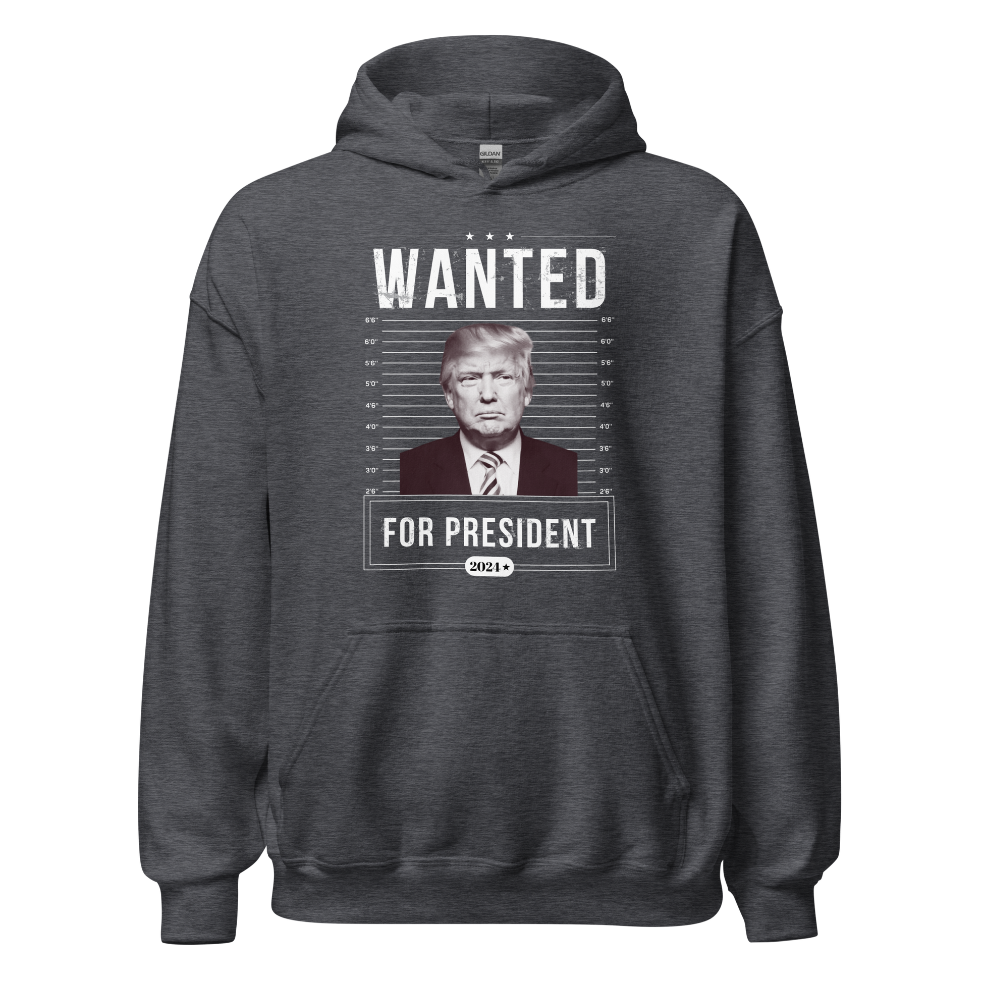 Wanted for President Hoodie - The Right Side Prints